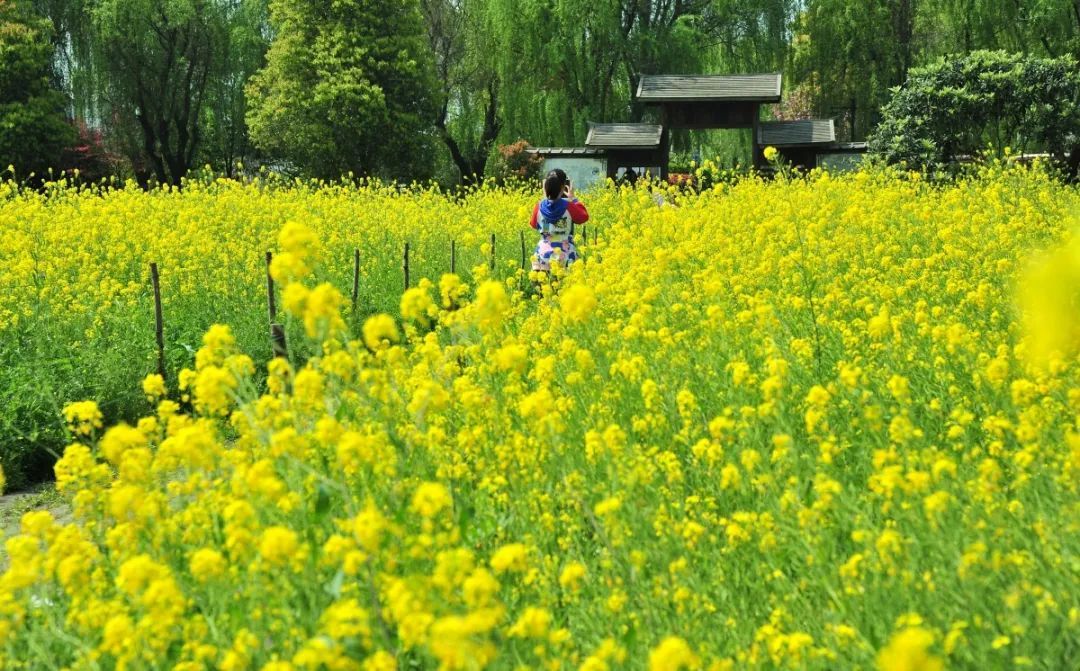 春暖花开，一起去看“花花世界”！