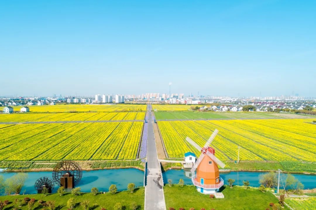 春暖花开，一起去看“花花世界”！