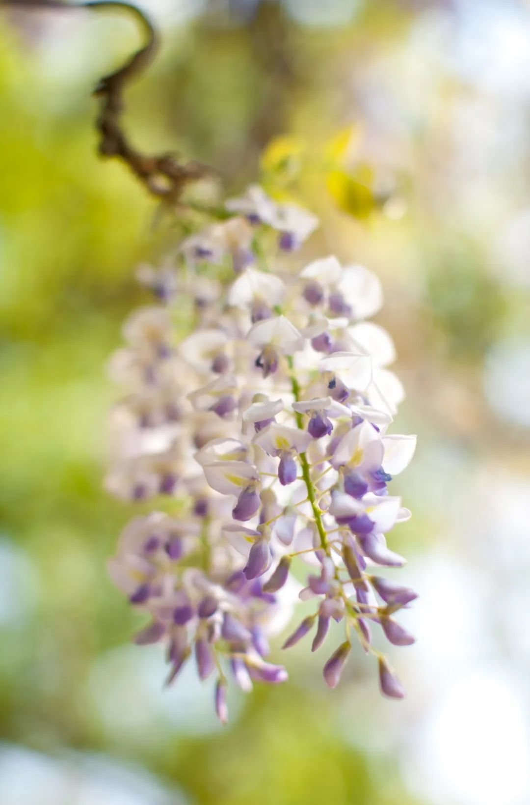 春暖花开，一起去看“花花世界”！