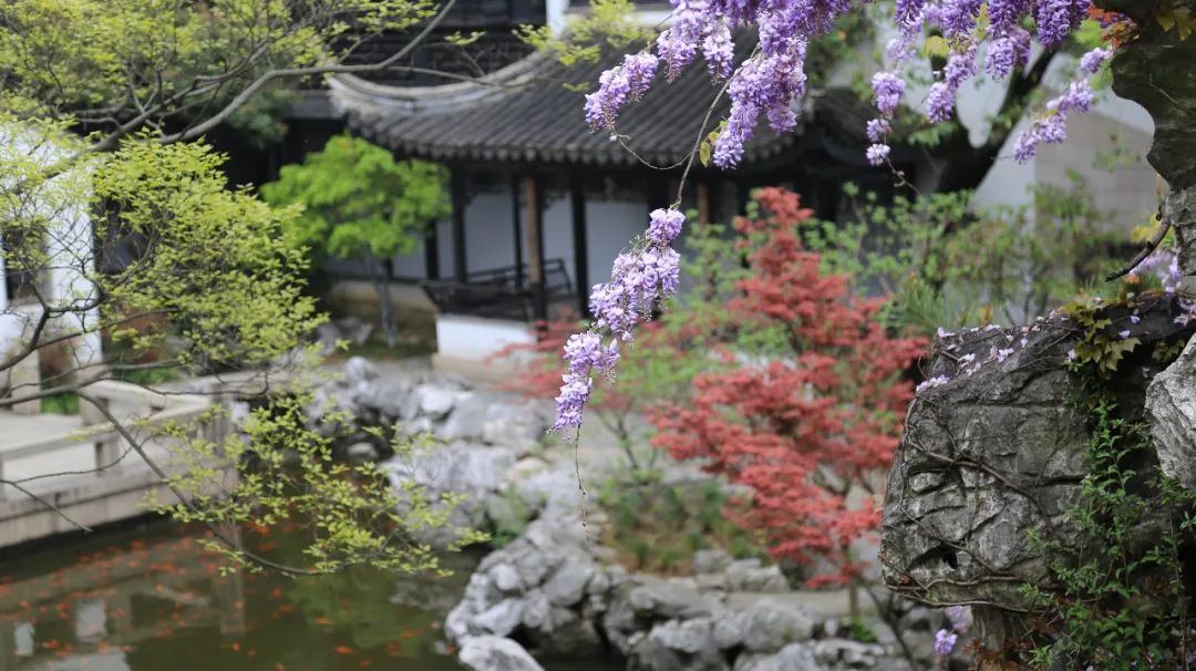 春暖花开，一起去看“花花世界”！