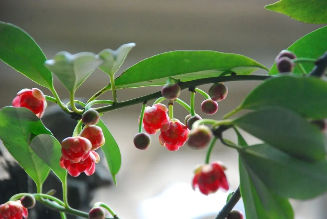 春暖花开，一起去看“花花世界”！