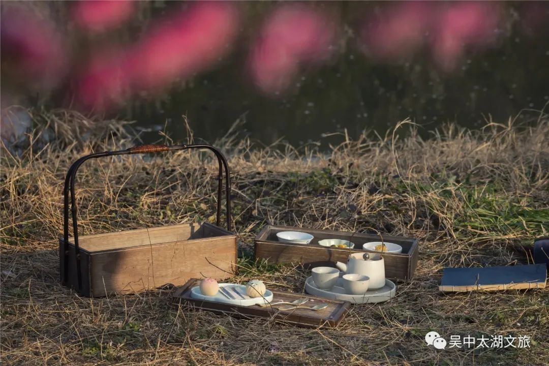 抓住赏梅的小尾巴，来一次穿越之旅！