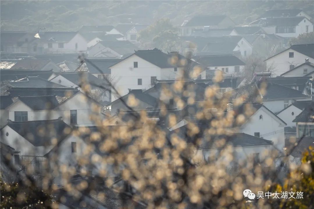 抓住赏梅的小尾巴，来一次穿越之旅！