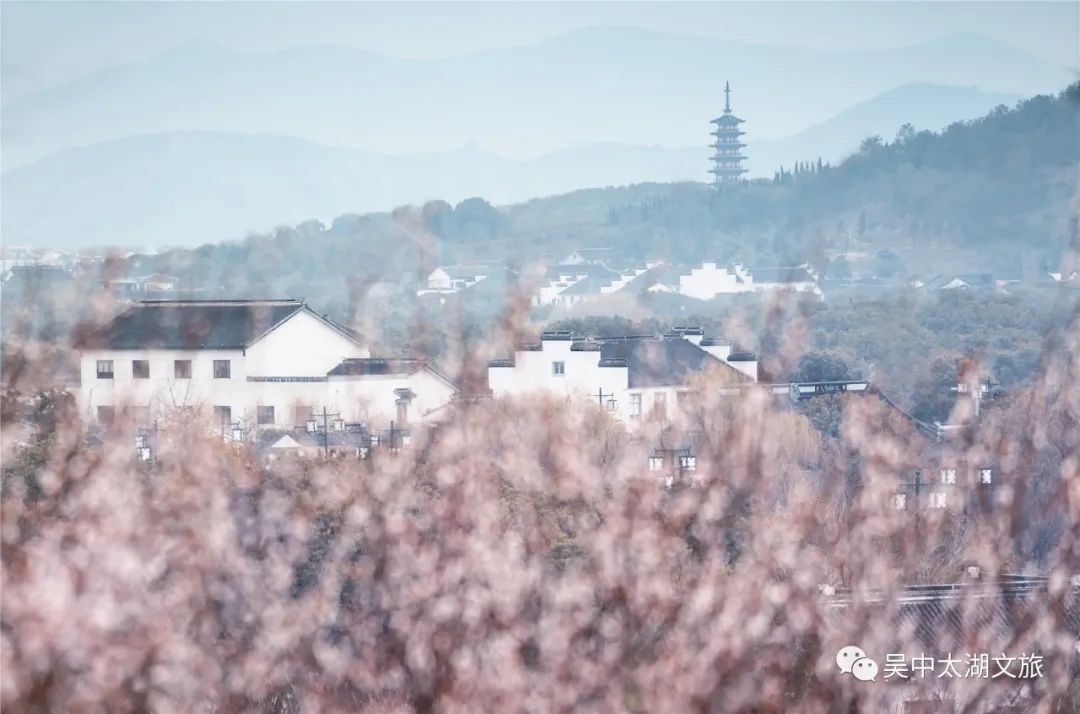 抓住赏梅的小尾巴，来一次穿越之旅！