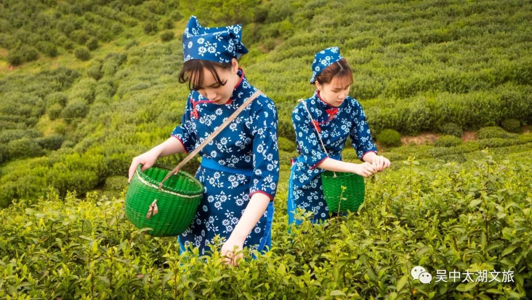 又是一年好春色，来饮江南“第一口鲜”！