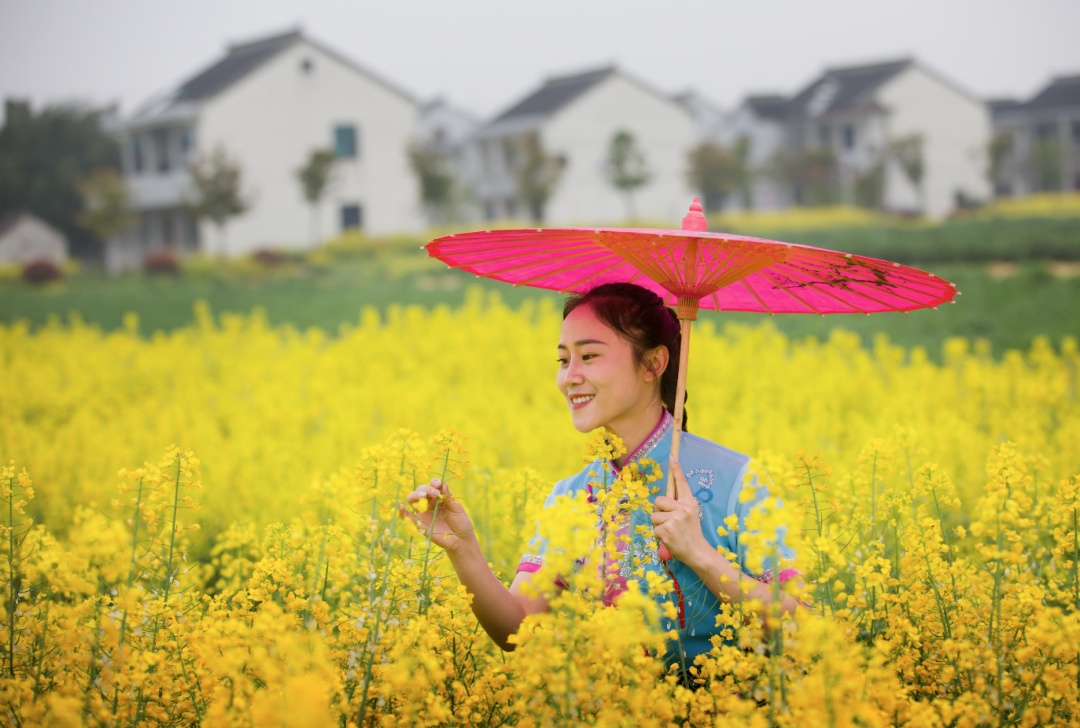 暗香盈袖，婉约如诗，开在古镇深处的美人花