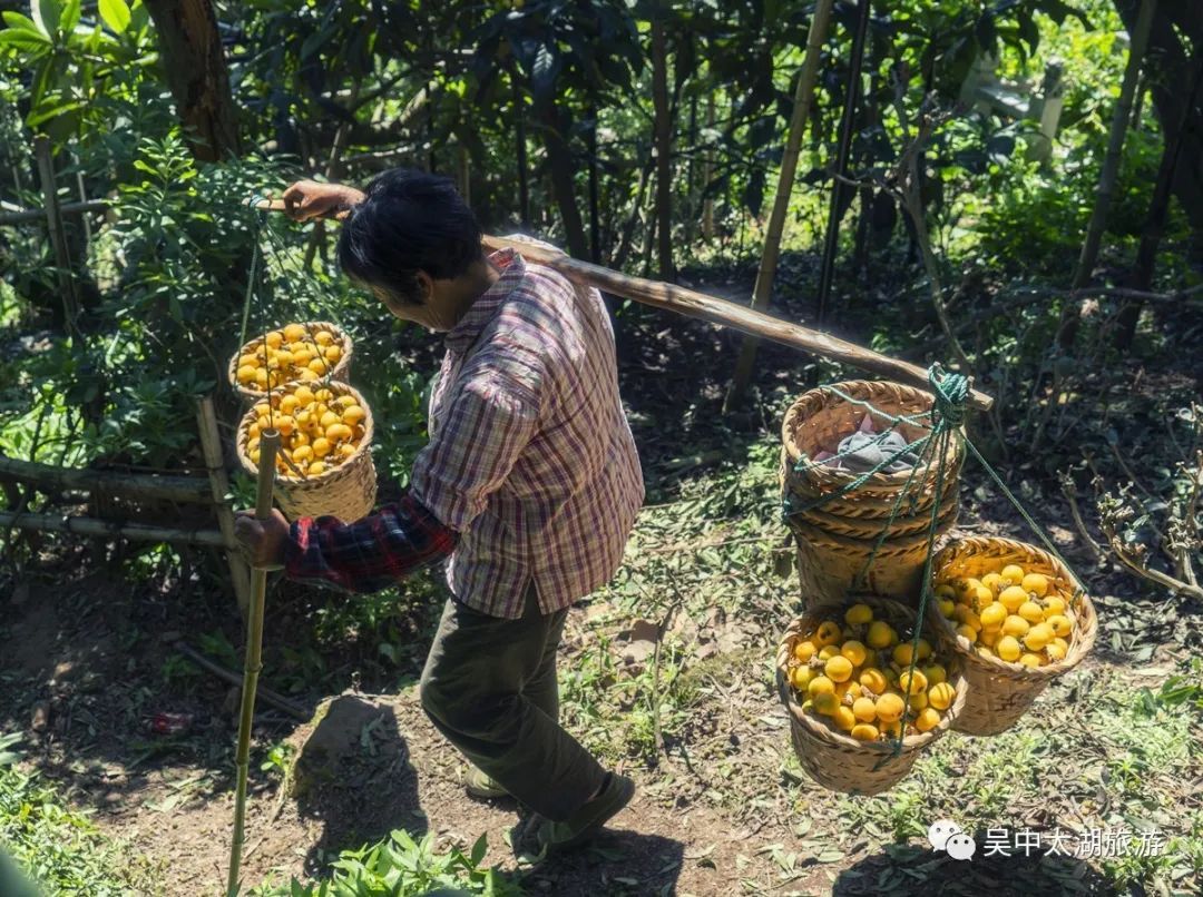 等了一年，只一口就惊艳你的味蕾！