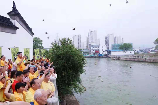 胥口镇第十五届端午民俗文化节圆满举行