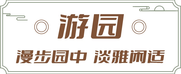 来这里当一天楼主是一种什么体验？