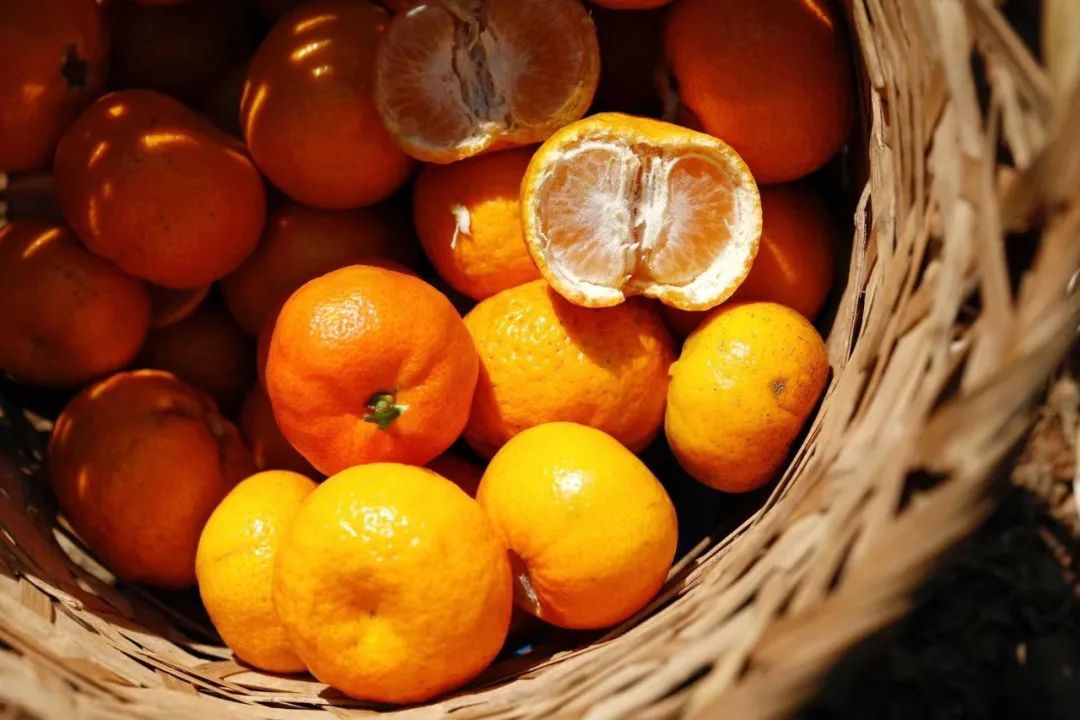 走，周末去采橘子！