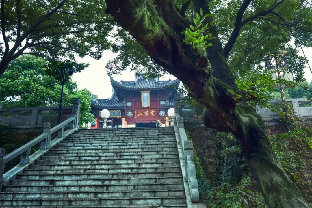 元旦，在吴中可以这么玩~