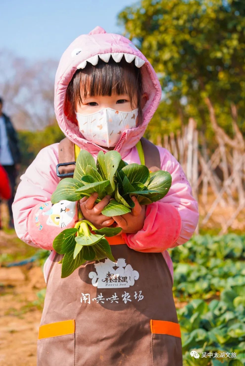 假期去哪玩？藏在森林里的遛娃胜地了解一下！