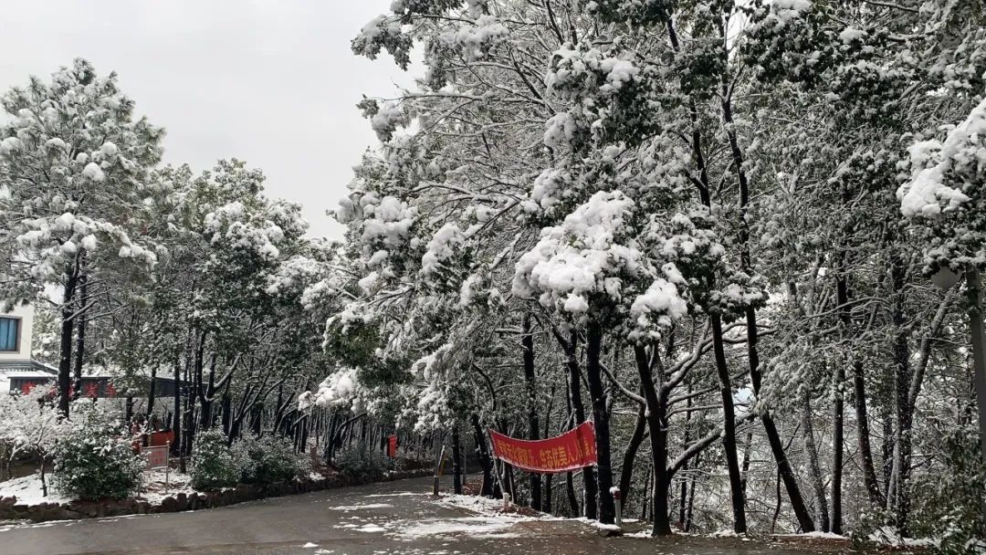 刷屏！2022年第一波雪景美图！