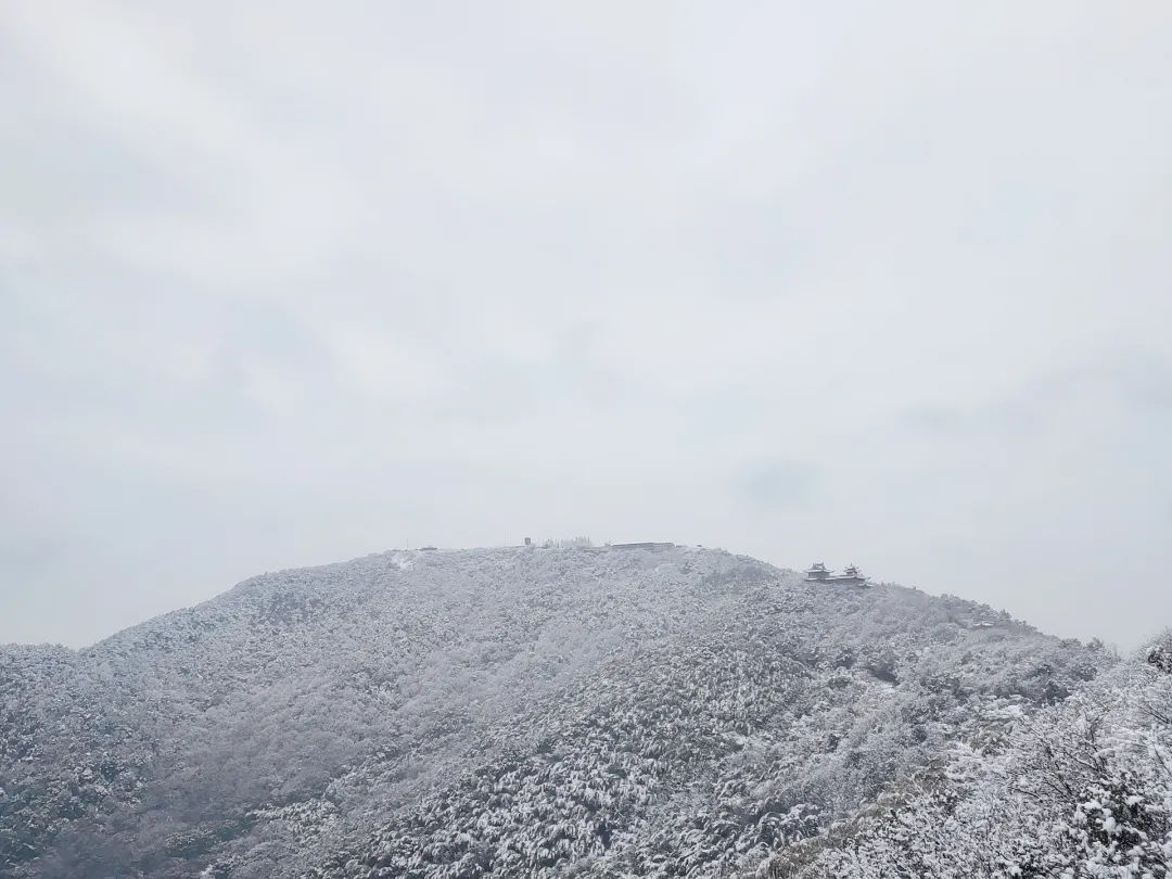 刷屏！2022年第一波雪景美图！