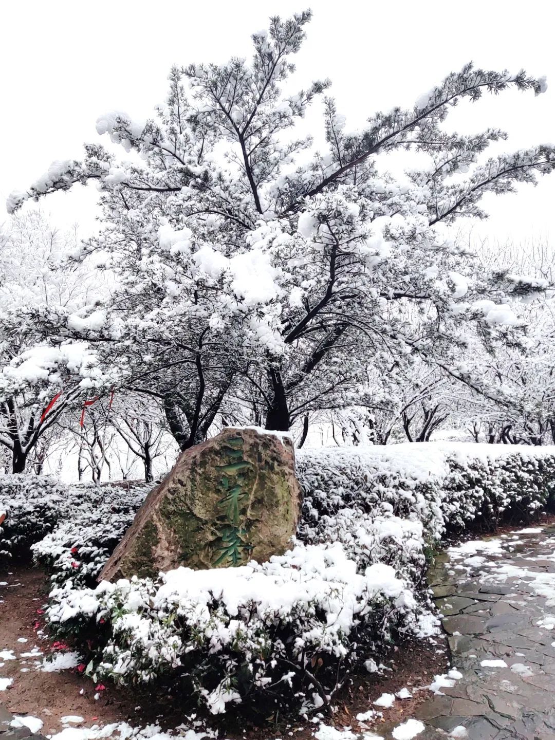 刷屏！2022年第一波雪景美图！