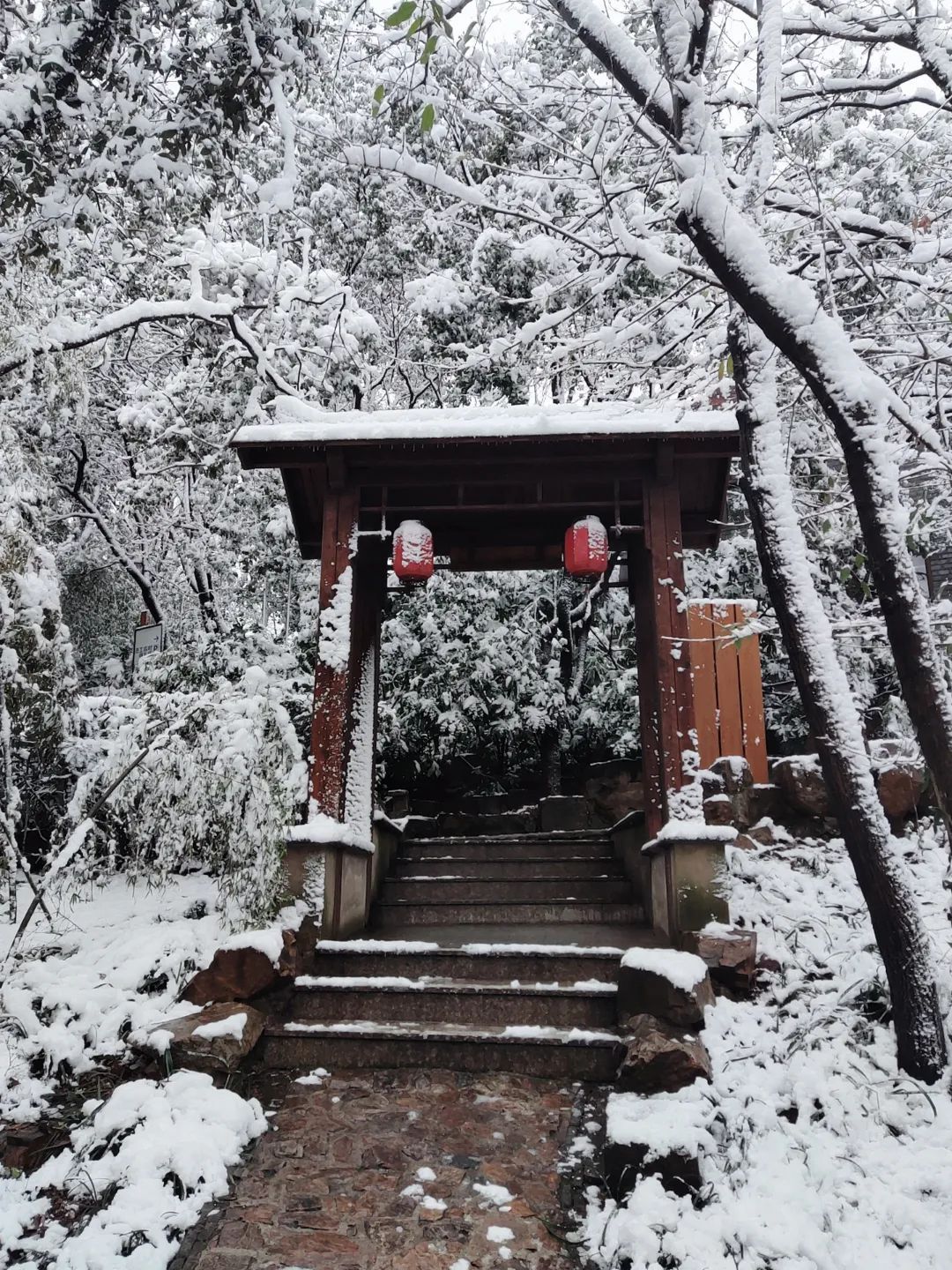 刷屏！2022年第一波雪景美图！