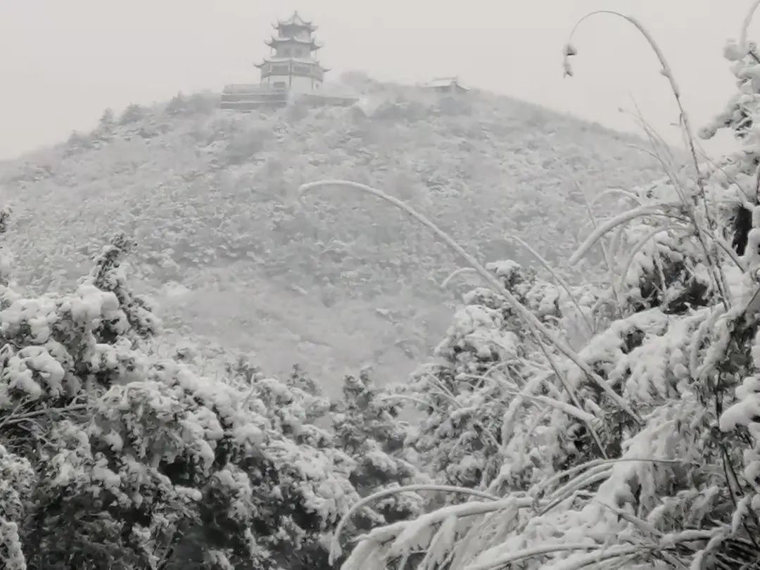 刷屏！2022年第一波雪景美图！