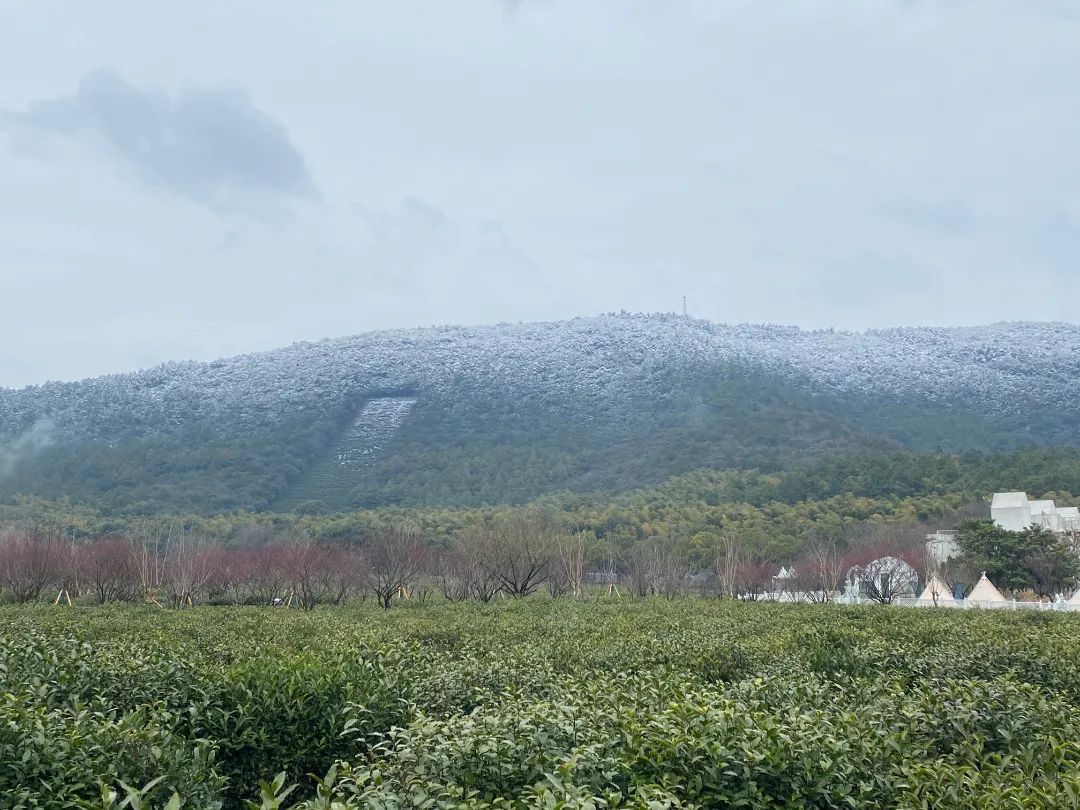 刷屏！2022年第一波雪景美图！