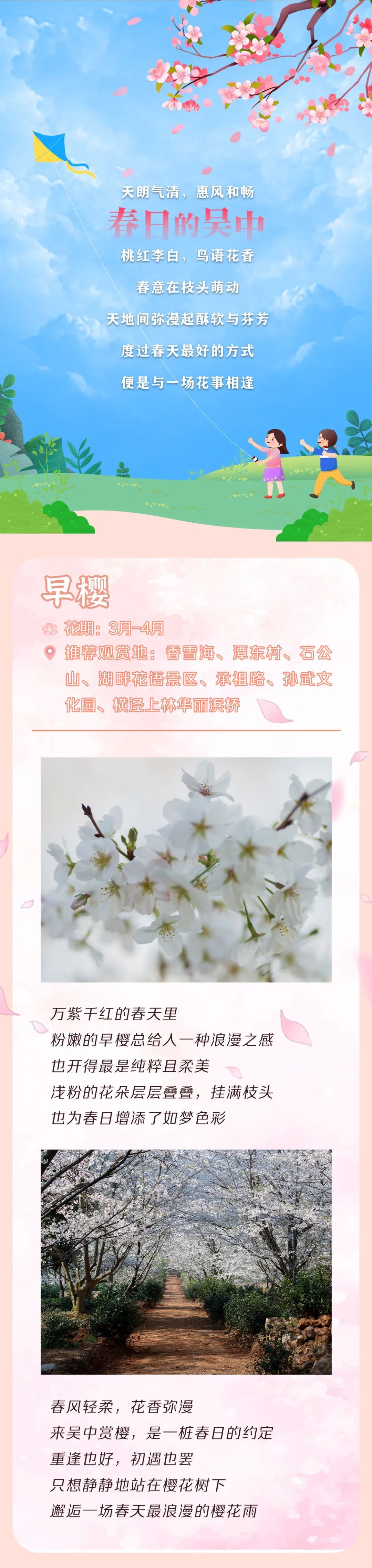 吴中花花图鉴.jpg