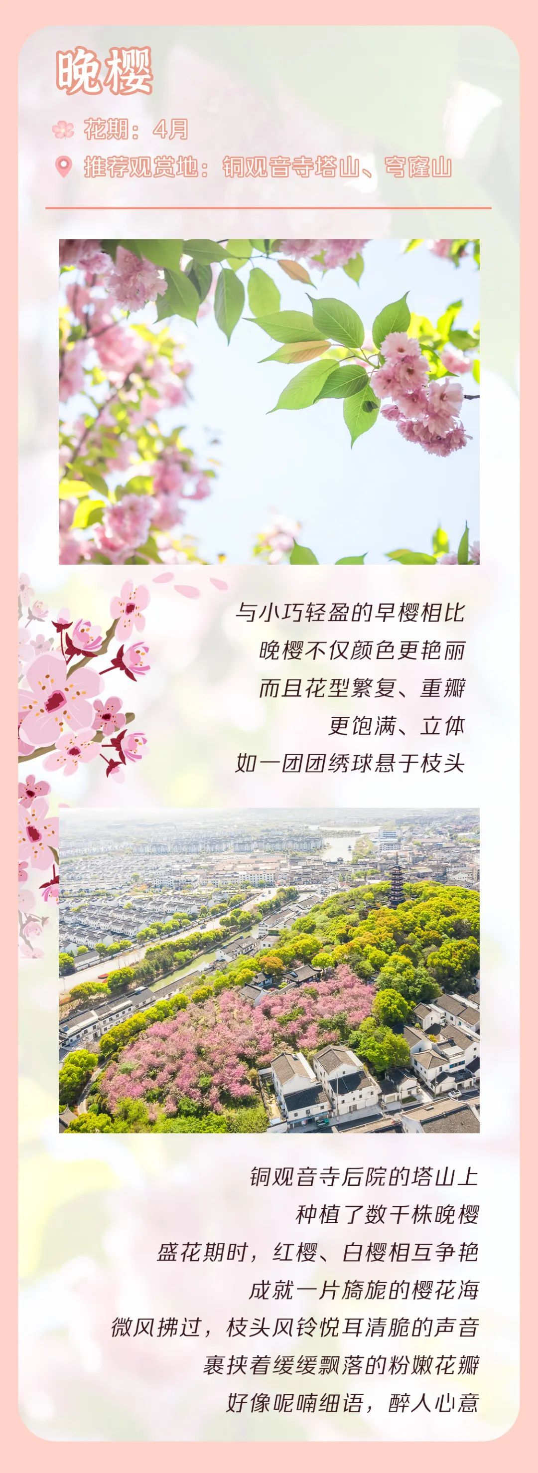 吴中花花图鉴.jpg