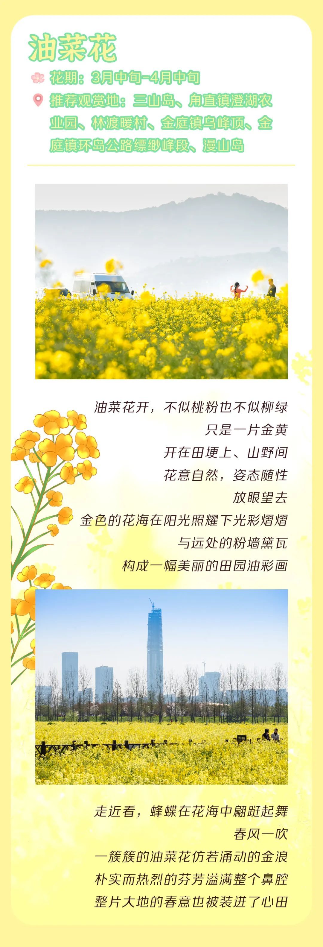 吴中花花图鉴.jpg