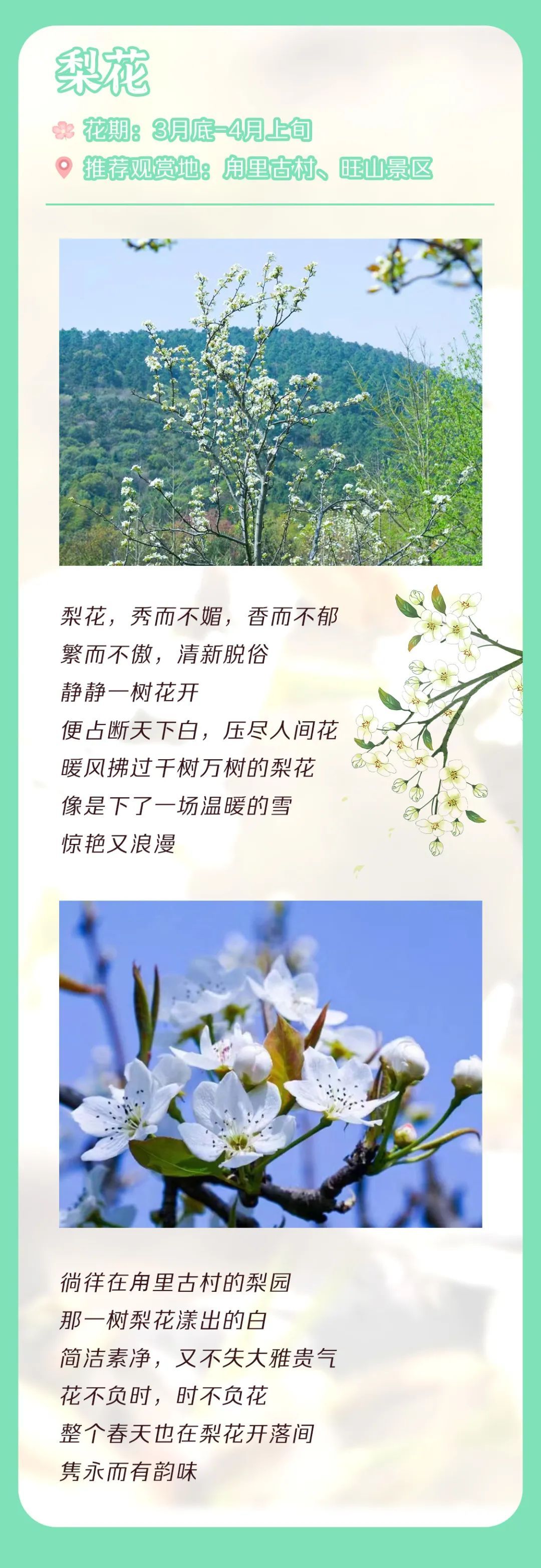 吴中花花图鉴.jpg