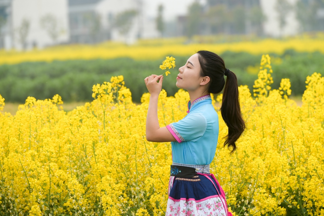 油菜花开！送你一个金黄色的春天！