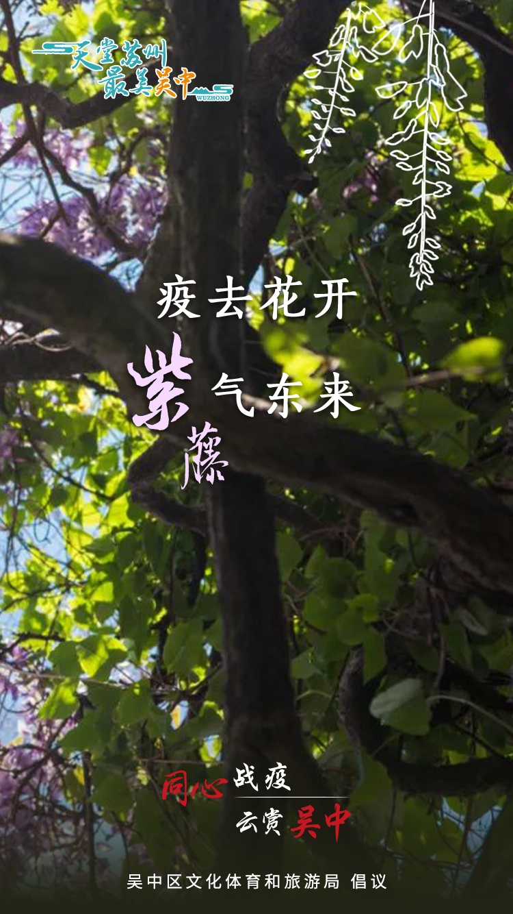 来和吴中的花花聊聊天吧！