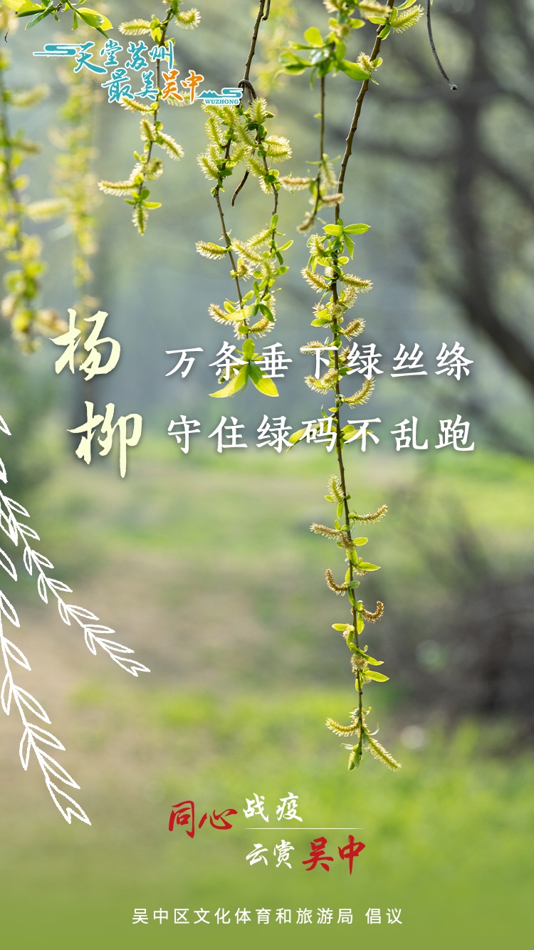 来和吴中的花花聊聊天吧！