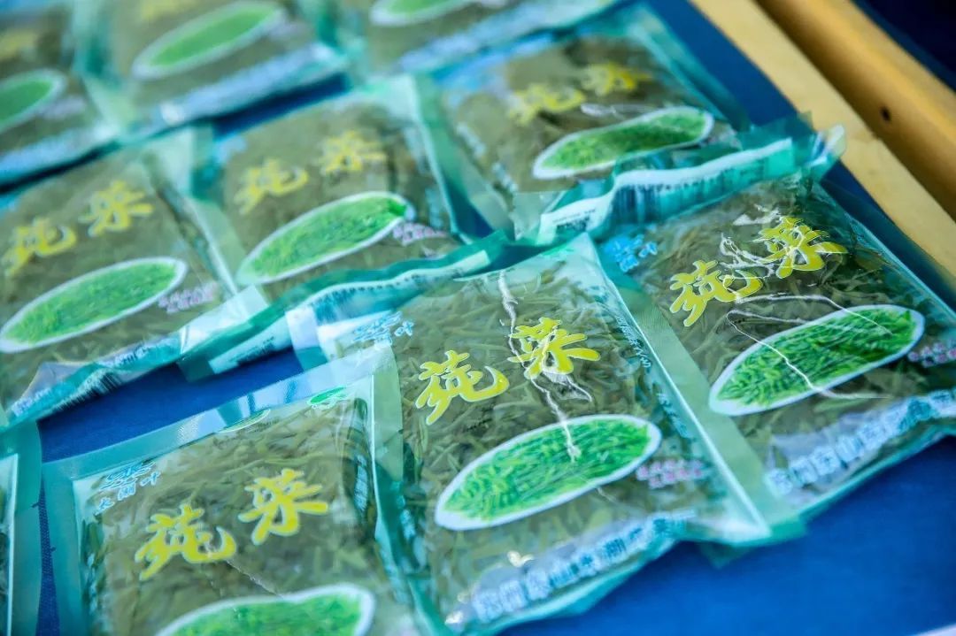 央视关注！太湖莼菜抢“鲜”上市！