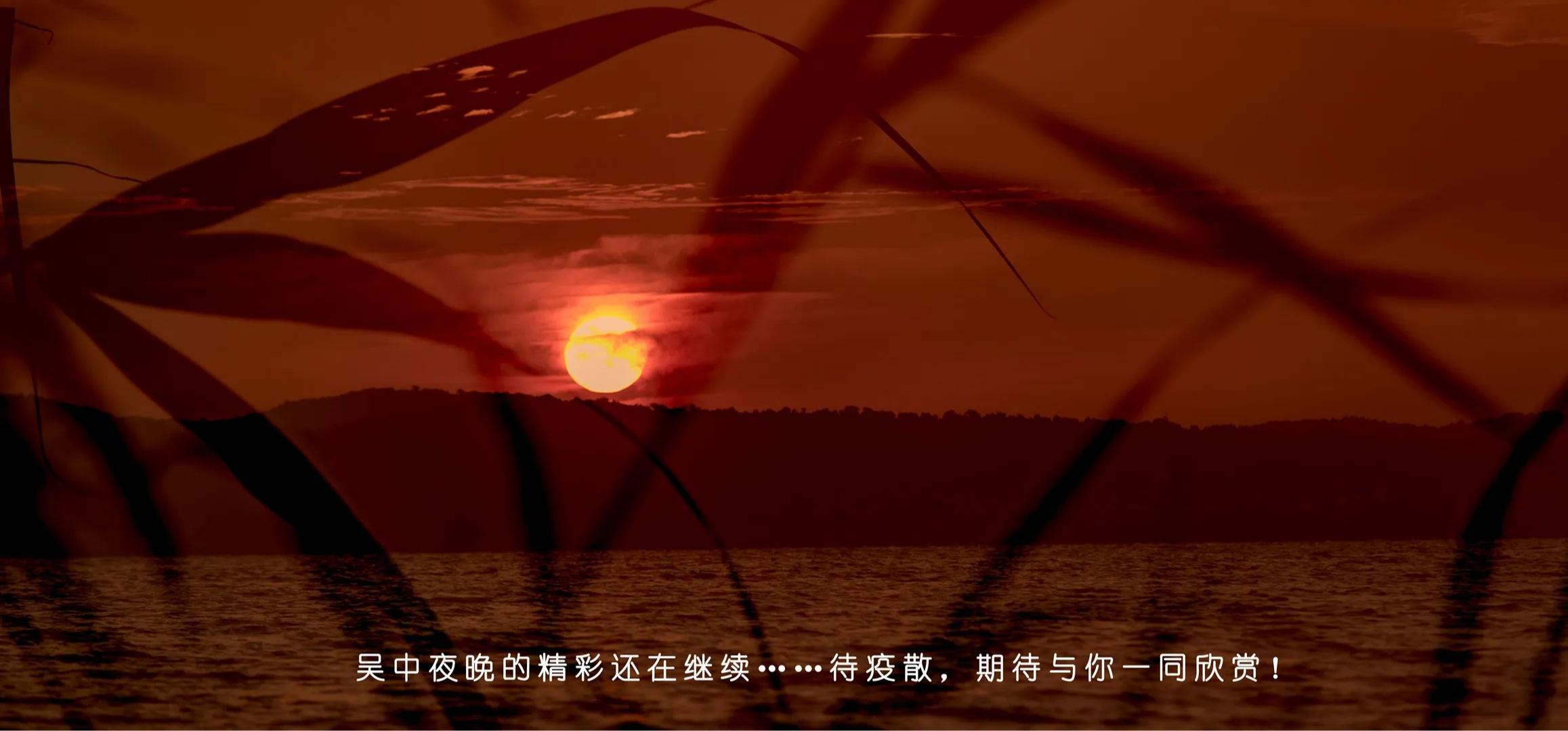 太美了！有一种风景叫“夜吴中”！