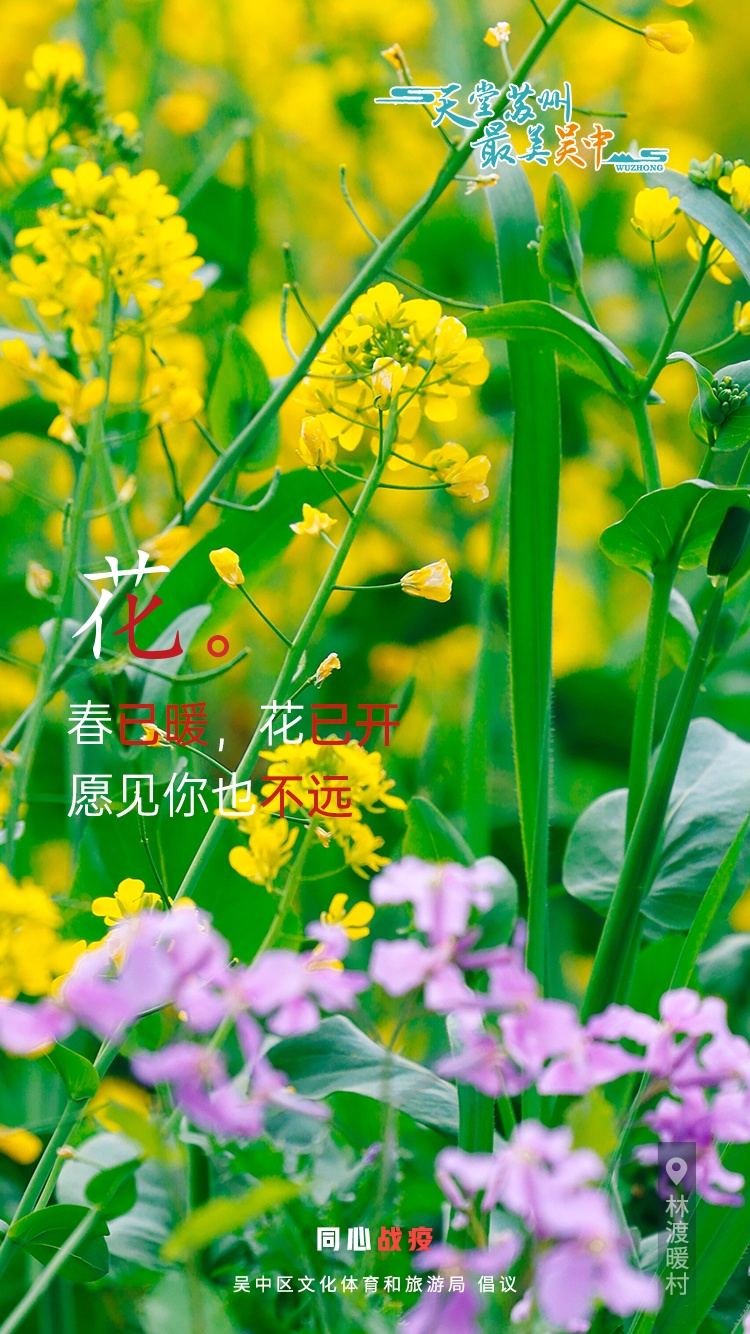 这些话，吴中想说很久了~