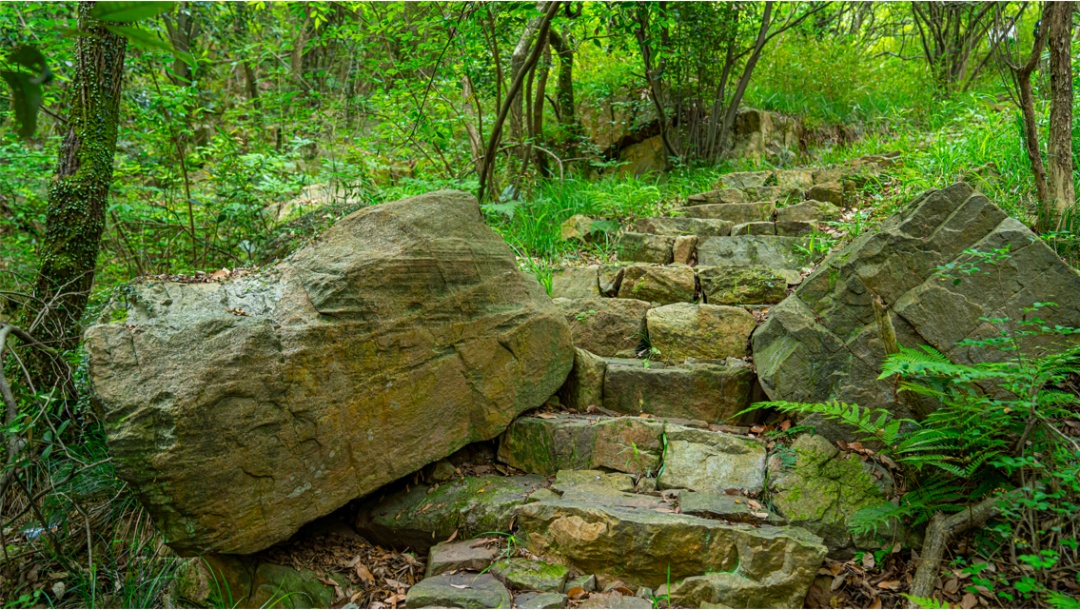 吴中登山步道“上新”！安排！