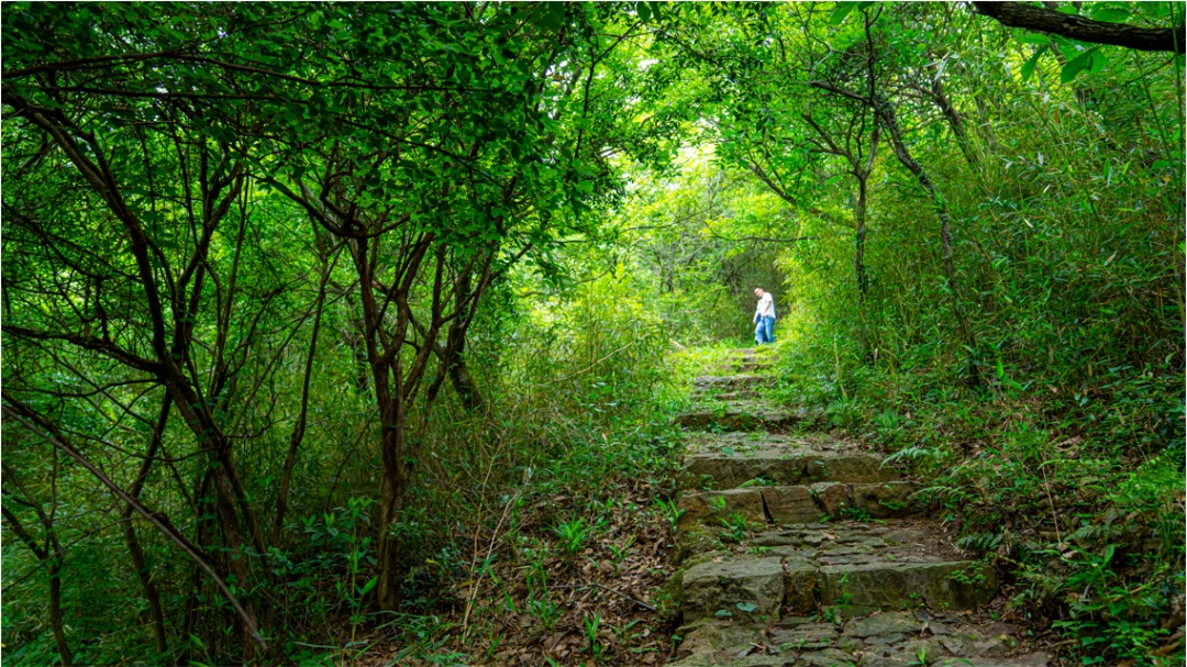 吴中登山步道“上新”！安排！