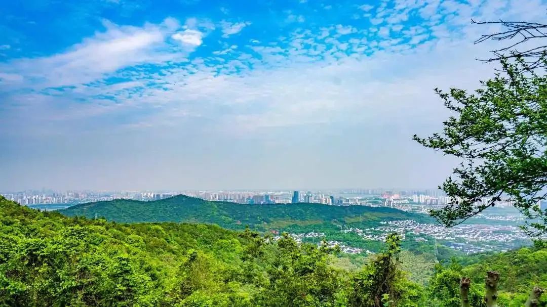 吴中登山步道“上新”！安排！