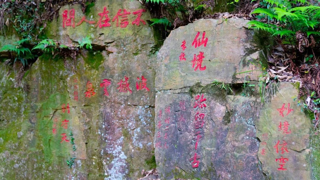 吴中登山步道“上新”！安排！