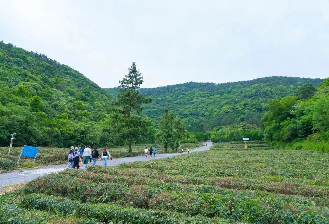 吴中登山步道“上新”！安排！