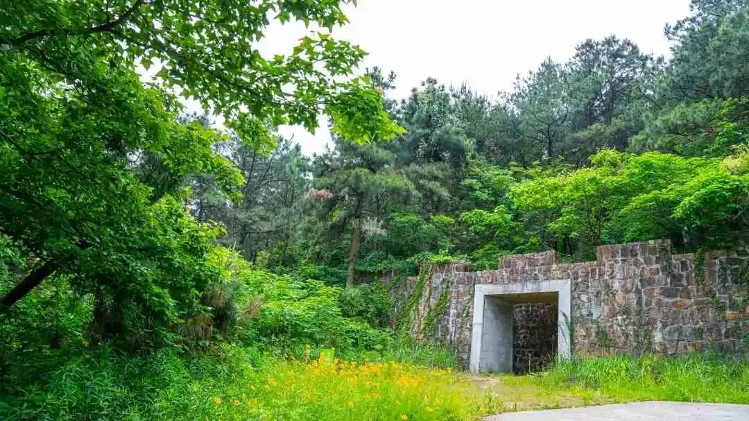 吴中登山步道“上新”！安排！