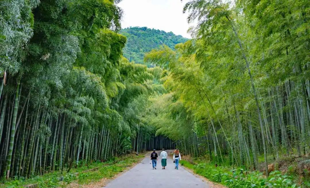 吴中登山步道“上新”！安排！