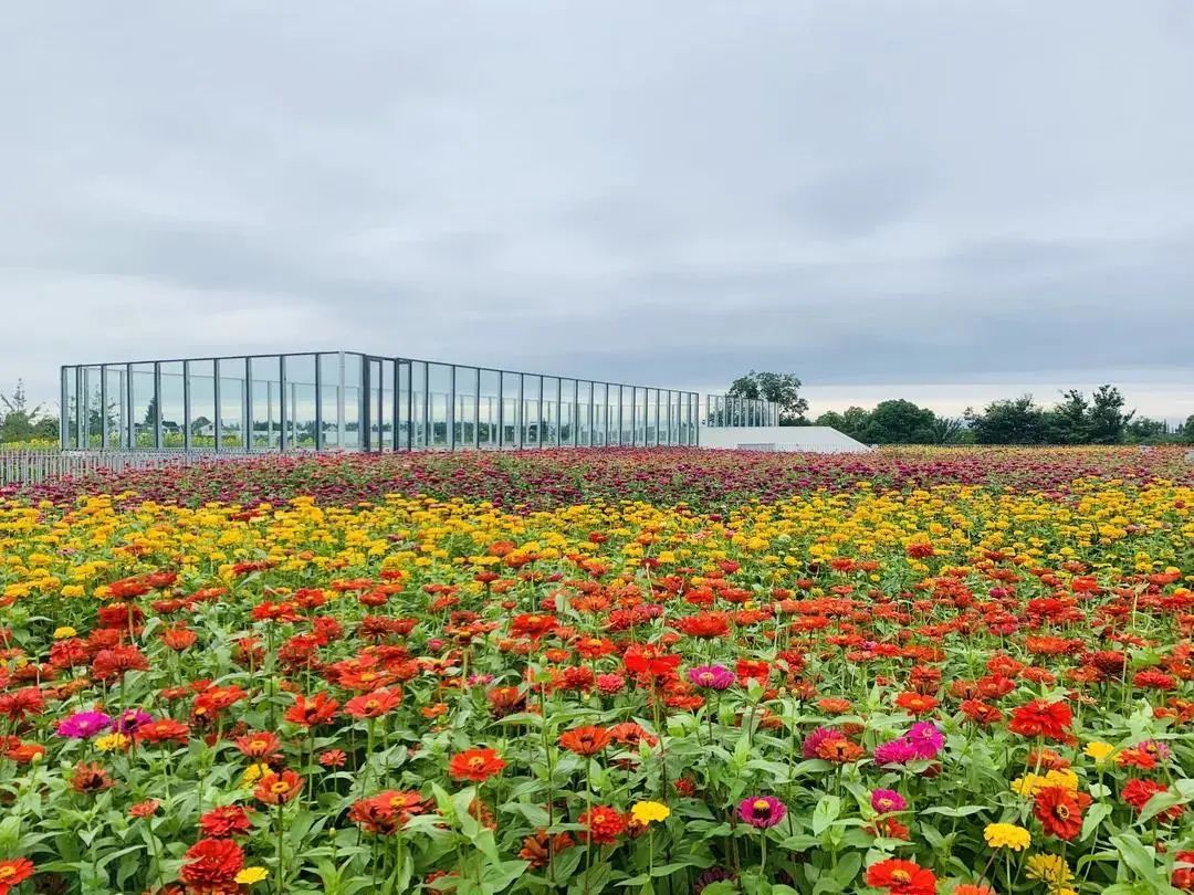 儿童节怎么过？这份游玩攻略请收好