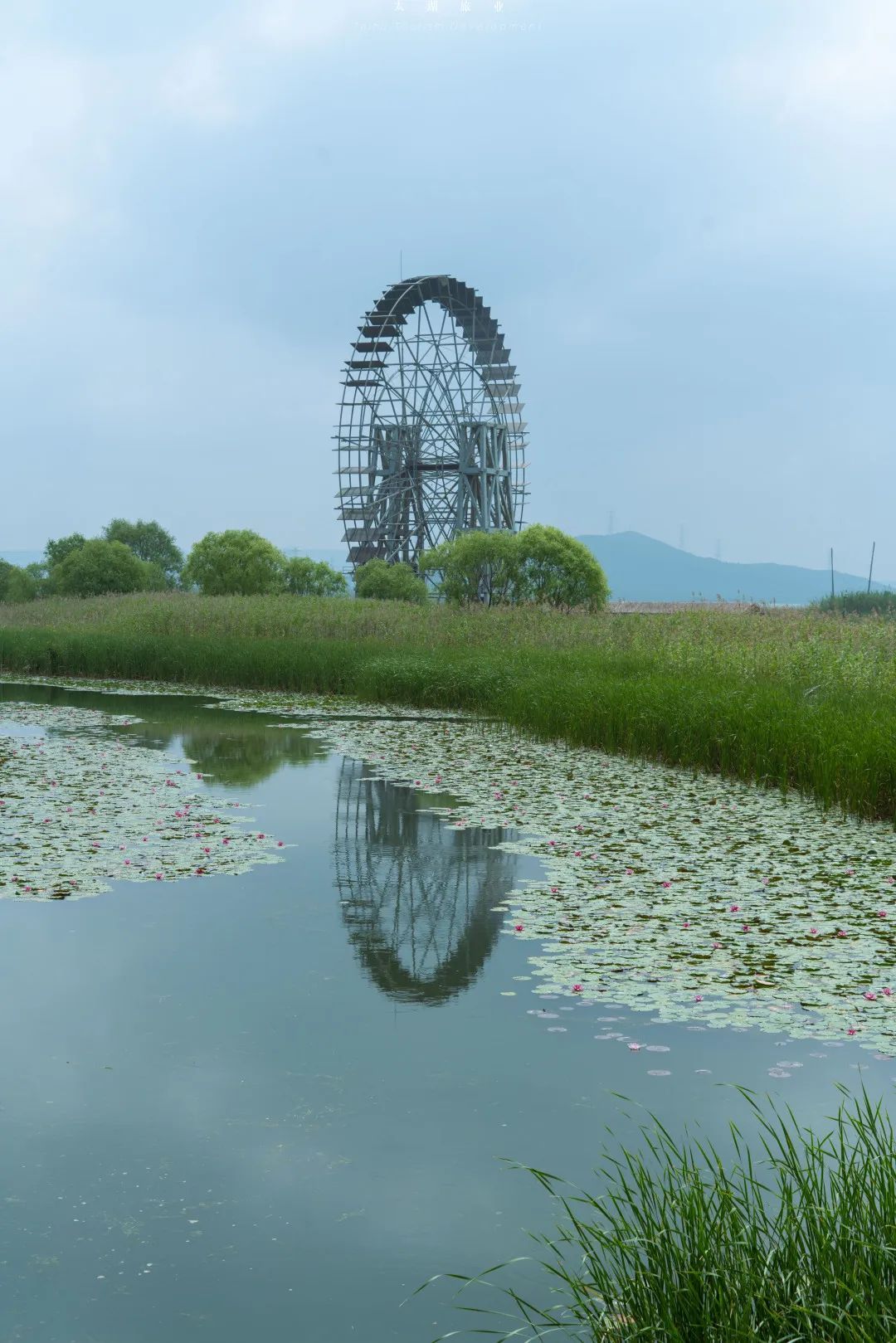 在吴中，误入油画中的夏日！