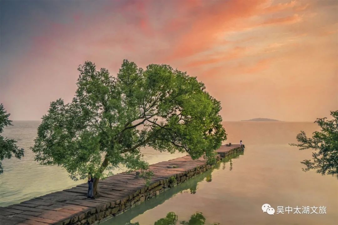 初夏骑行，像风一样自由~