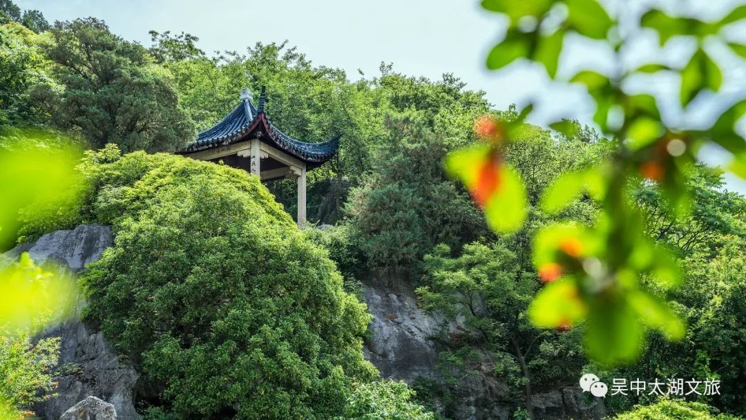 初夏骑行，像风一样自由~