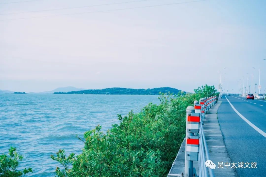 初夏骑行，像风一样自由~