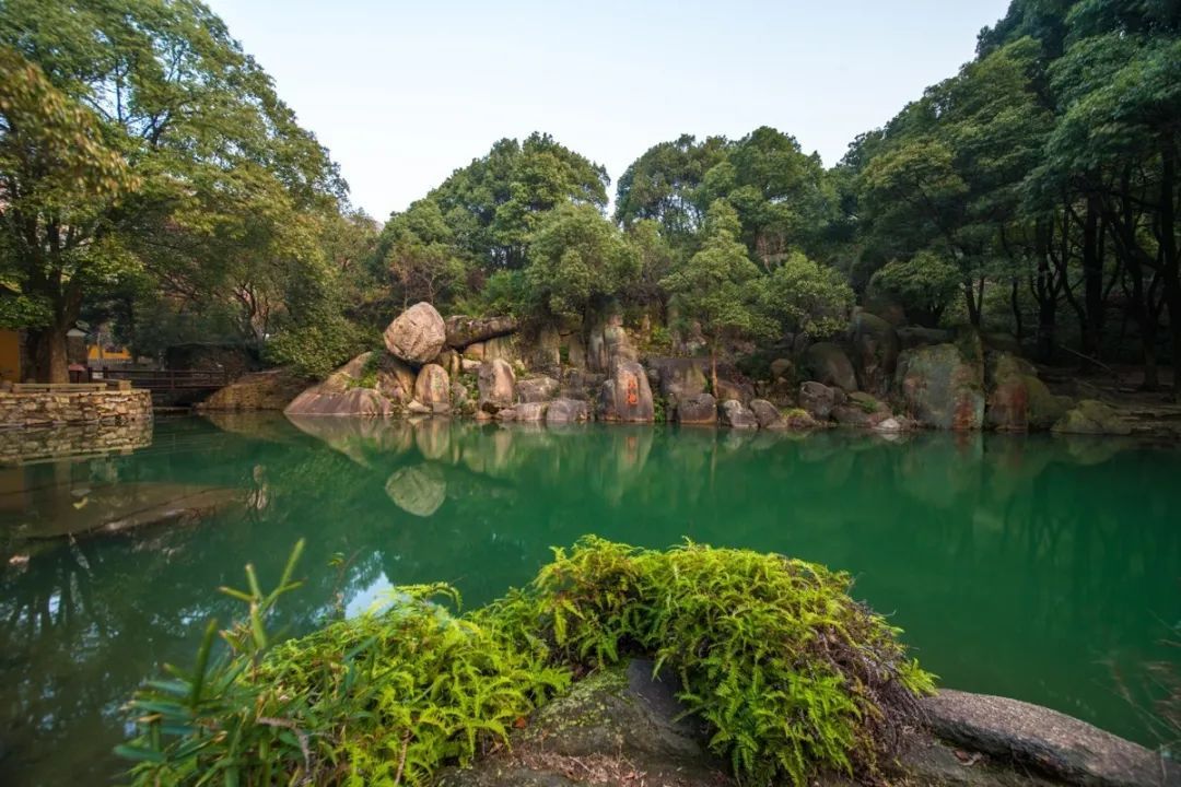 初夏骑行，像风一样自由~