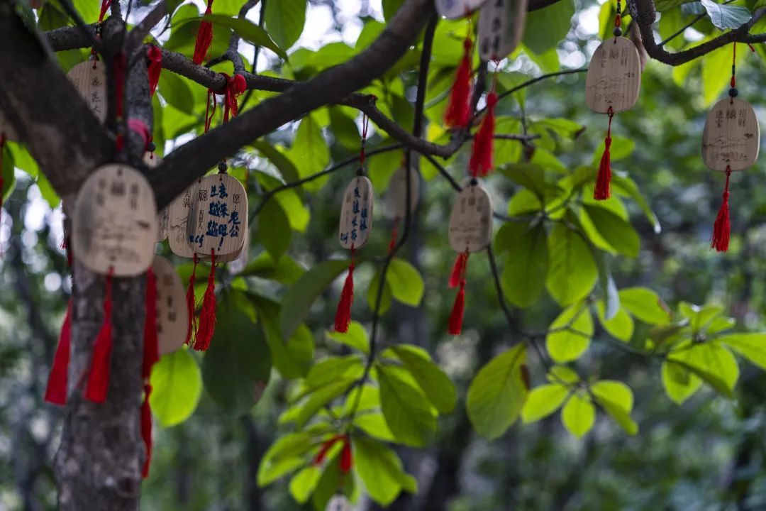 毕业季送福利！用一场旅行致敬青春！