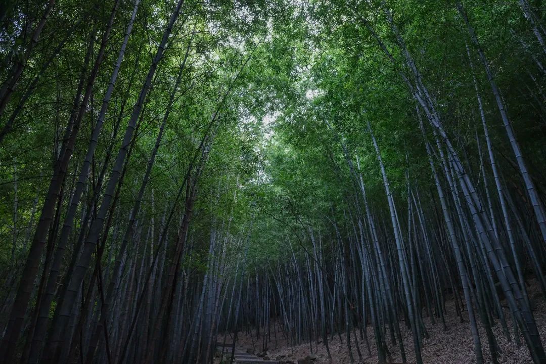 父亲节，拿上这份旅行攻略快乐出发！