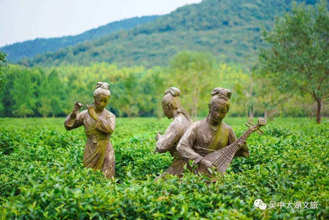 上榜省级“网红美丽乡村”！是时候去打卡了！