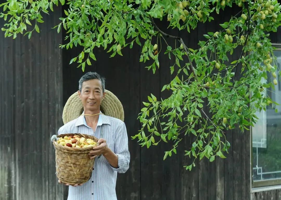 门票有优惠！尝鲜要趁“枣”！