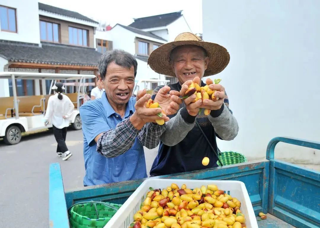 门票有优惠！尝鲜要趁“枣”！